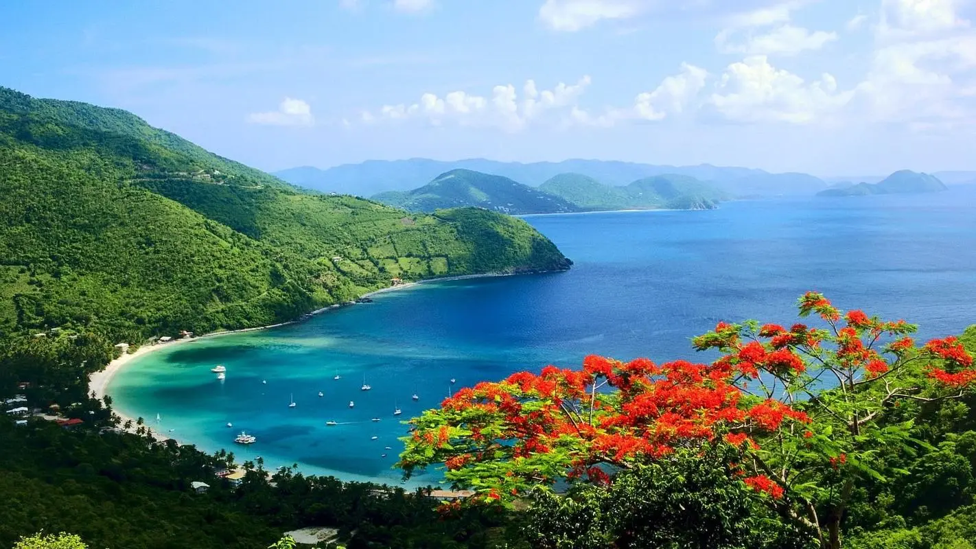 可靠性高性能